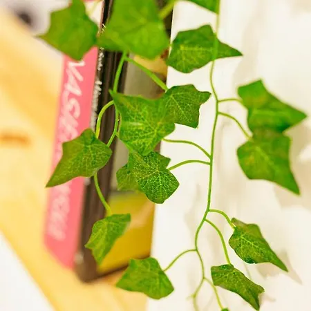 Chmielna - 250m Od Zlotych Tarasow, 350m Od Dworca Centralnego - Wifi - Smart Tv 55 Cali - Better Appartamento *